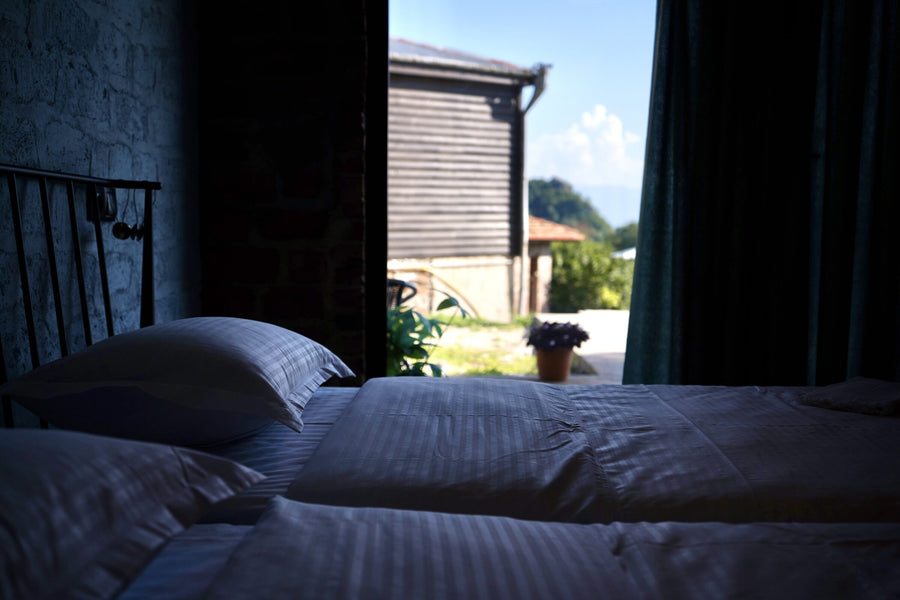 Standard Twin Room with Mountain View